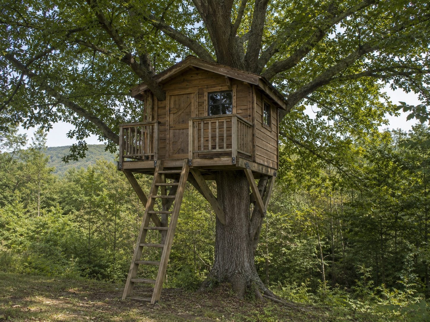 Esterno di una casa sull'albero con scala e veranda in legno