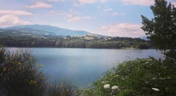 Il Lago di Pietra del Pertusillo visto dalle sponde boscate